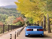 少しだけ紅葉視察🍁御坂峠〜河口湖〜西湖