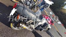 JBPM 2023 Good Lookin SUZUKI
