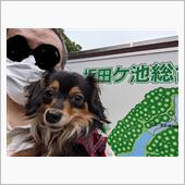 なずなさん…