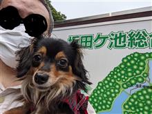 なずなさん…