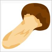 松茸ってなぜ騒がれる？