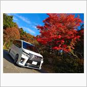 紅葉&#215;VOXY　part1