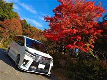 紅葉&#215;VOXY　part1