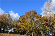 鞍ヶ池公園、その後茶臼山高原で紅葉狩り🍁と星空観賞☆彡