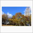 鞍ヶ池公園、その後茶臼山高原で紅葉狩り🍁と星空観賞☆彡