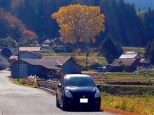 黄葉を観に行こうよう　２０２３