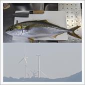 本日の釣果