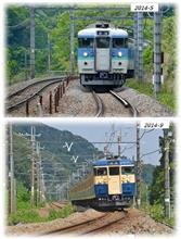115系の日 …