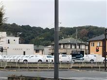 ミイラ？