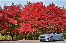 紅葉ドライブ2023第六弾　那須塩原