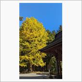 2023紅葉の記録