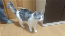 ちぃちゃん