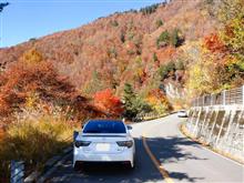 2023　紅葉狩り 🍁 錦秋の白川郷・五箇山合掌造り集落＆白山白川郷ホワイトロード