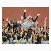 ㊗️阪神タイガース🐯38年 ...