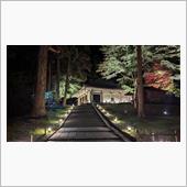 毛越寺・中尊寺紅葉