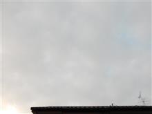 １１月６日　お休みな月曜日、おはよ～♪