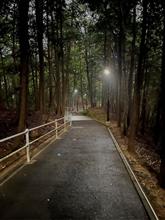 今朝の通勤路 ~熊の出没がありそうな林道~ 歩いてしまった 今朝の通勤路 ~熊の出没がありそうな林道~ 歩いてしまった