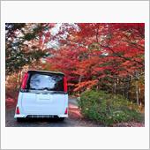 紅葉&#215;VOXY　part3