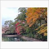紅葉狩り🍁ハイキング♪