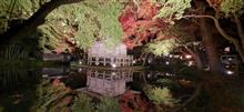 紅葉銀河　吸い込まれそうでした