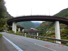 新居浜市青龍橋と勘違い桜🌸