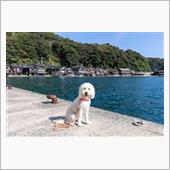 日本海放浪旅(*^^*)　～ ...