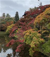 リゾートしらかみ（JR様ありがとう＆弘前紅葉編）