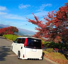 紅葉&#215;VOXY　part5