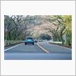 山の会も6回目・・・♫