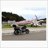 2023秋の能登ツーリング( ...