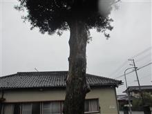 閲覧注意⚠️🐌