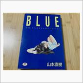 山本直樹/BLUE