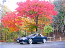 紅葉のオールドカーミーティング