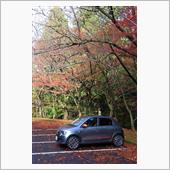 2023/11/11　紅葉を ...