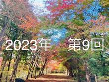 アイルトンの合計7時間の旅 アイルトンの合計7時間の旅