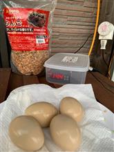 燻製卵