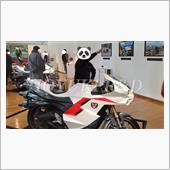 Masked Rider