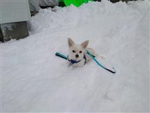 大雪！からの夫婦ツーリング