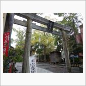 備忘録）連日、冬の散歩で・・ ...