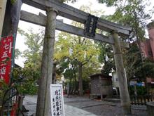 備忘録）連日、冬の散歩で・・・・。