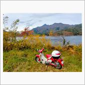 カブで紅葉ランニング