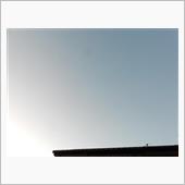 １１月１４日　いい天気になり ...