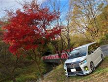 橋&#215;VOXY　part2
