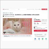 アニマルサードアイズ　クラウ ...