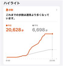歩数が 歩数が