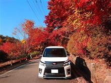 紅葉&#215;VOXY　part9