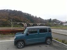 岩手県ハイドラCP緑化コンプリートしました! 岩手県ハイドラCP緑化コンプリートしました!
