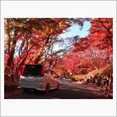 紅葉&#215;VOXY　part10