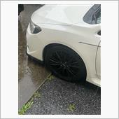 朝から凄い雨...