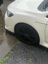 朝から凄い雨...
